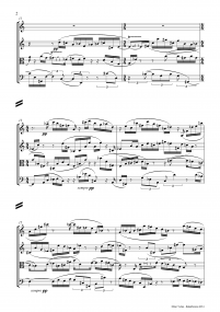 String Quartet A4 z 6